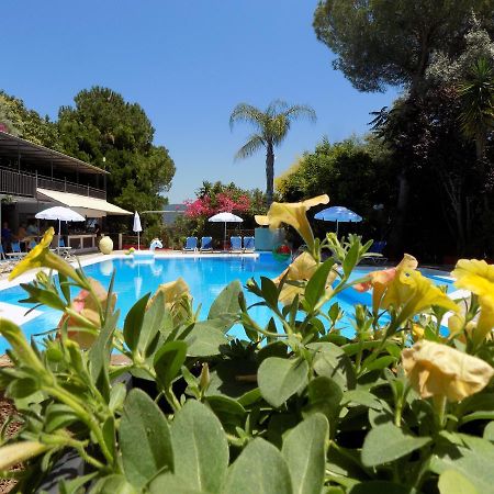 Lefkas Blue Hotel นิเกียนา ภายนอก รูปภาพ